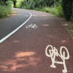 Raised line delineator installed alongside a segregated cycle lane to define the cycling route.