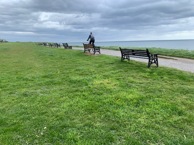 Coastal cycle lane separated from traffic using flexible bollards mounted on modular base units