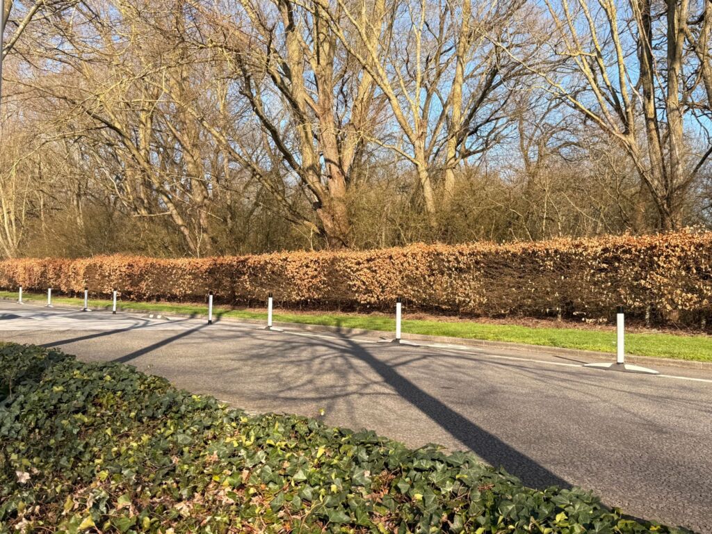 Flexible delineator posts provide clear lane separation for cyclists and motorists, helping to create a safer road environment without compromising the natural surroundings.